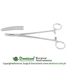 Faure Peritoneum Forcep Curved - 1 x 2 Teeth Stainless Steel, 21 cm - 8 1/4"